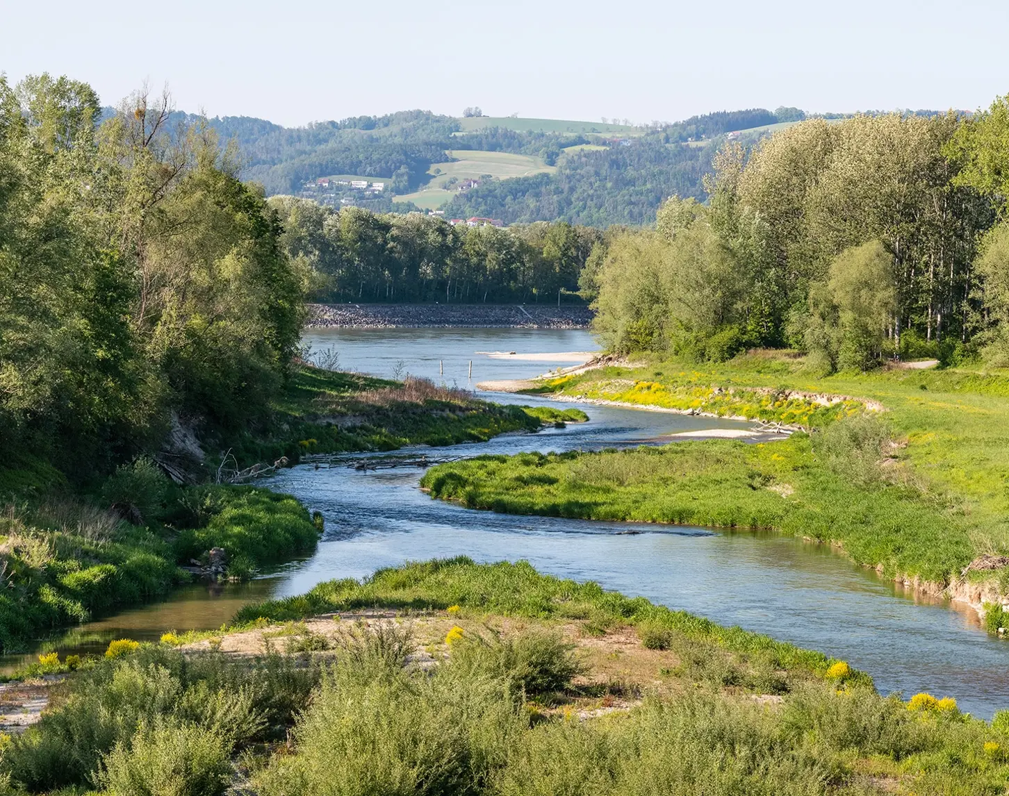 Sattes Grün überzieht die Ufer des Augewässers in der Nähe des Kraftwerks Ottensheim-Wilhering. Die Fischwanderhilfe mäandert durch die Natur. Im Hintergrund sieht man kleinere Ortschaften.