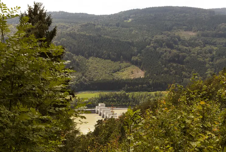 Ein Blick aus dem Wald heraus auf das Kraftwerk Jochenstein im Frühling. Besonderer Fokus liegt auf der natürlichen Umgebung.